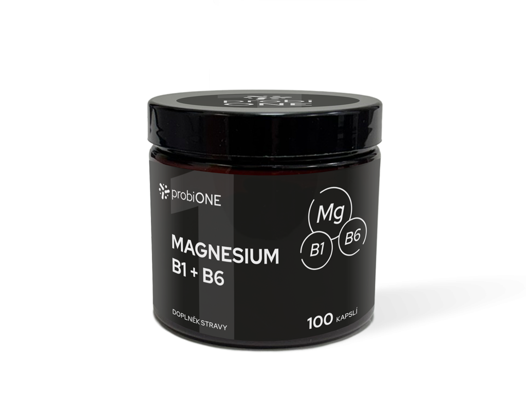 probiONE Magnesium B1 + B6